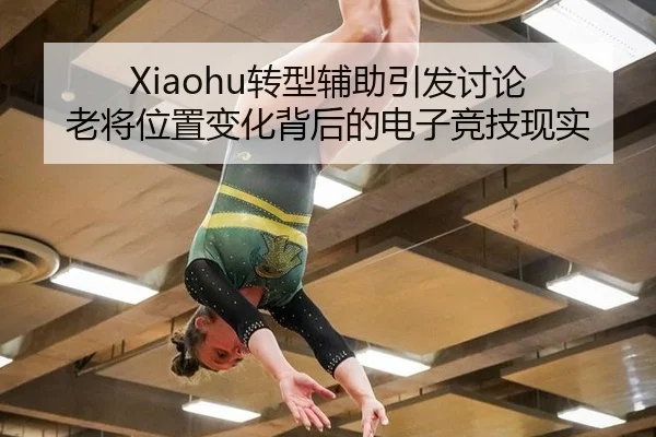 Xiaohu转型辅助引发讨论 老将位置变化背后的电子竞技现实（hth）